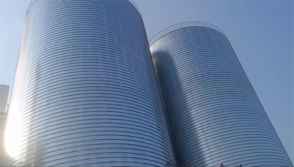 佳木斯2座混凝土高架卷板仓